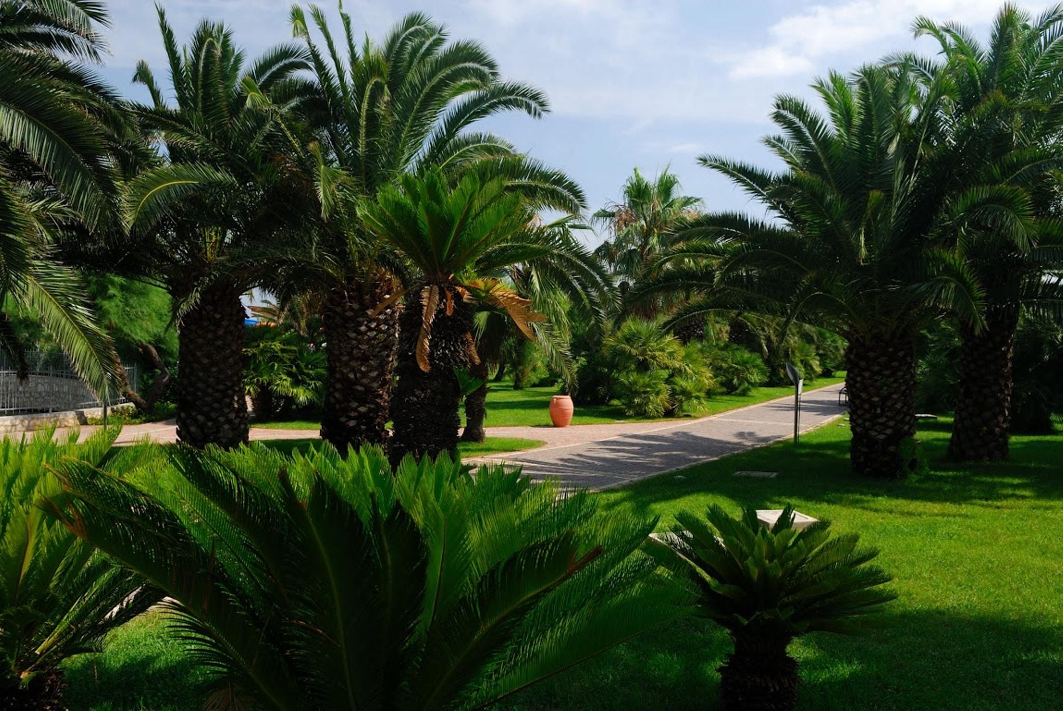 Granserena Hotel Torre Canne Esterno foto